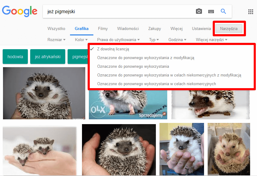 google images wyszukiwarka grafiki