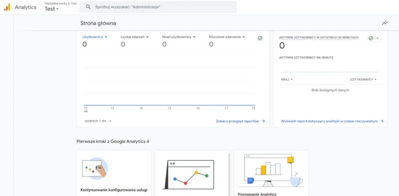 google analytics 4 panel