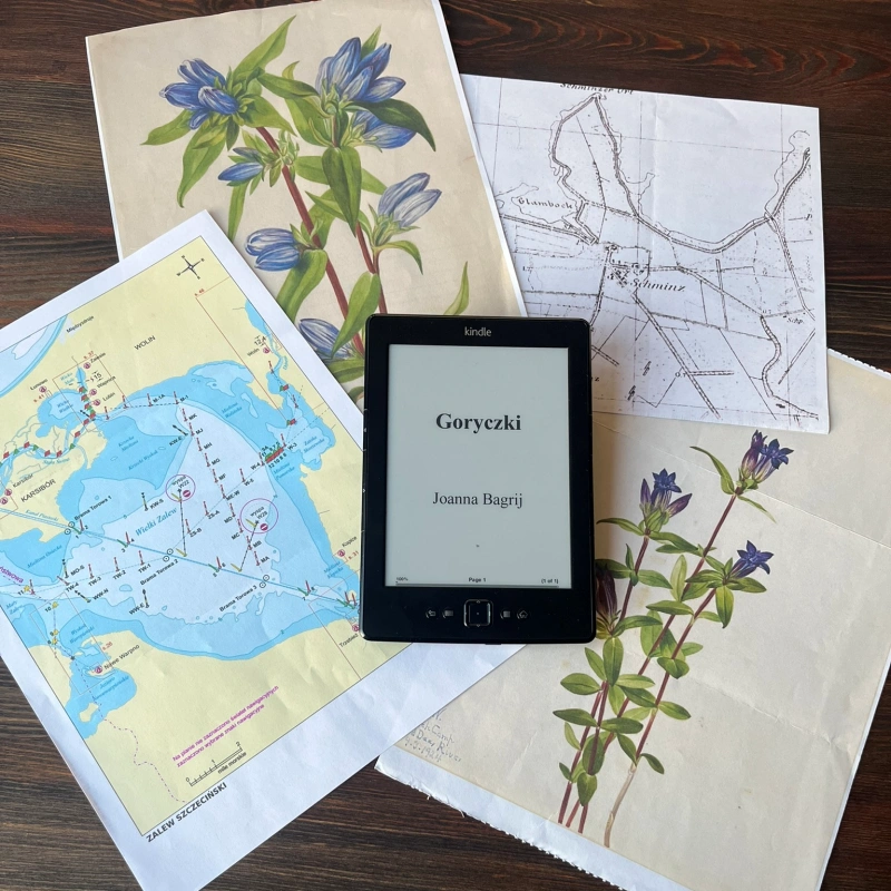 najnowsza powieść Joanny Bagrij - Goryczki